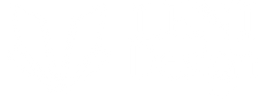 Lenidesign