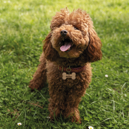 Médaille chien personnalisée en bois – Forme os ou os croqué – Gravure nom et téléphone – Médaille collier chien naturelle