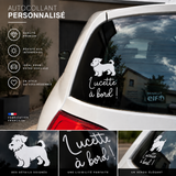 Sticker chien à bord personnalisé « Lucette à bord ! » posé sur la vitre arrière d'une voiture